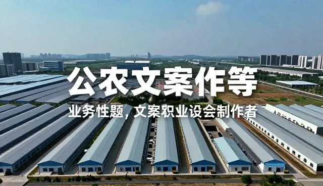 文案创作中适用条件的精准把控与实践